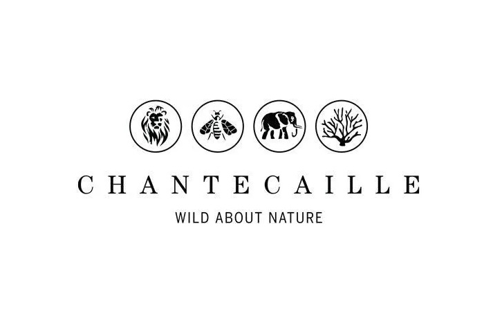 Chantecaille expands global presence with Tmall