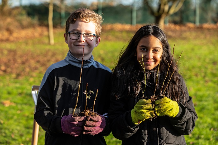 Sainsbury’s launches agroforestry initiative in partnership with the Woodland Trust