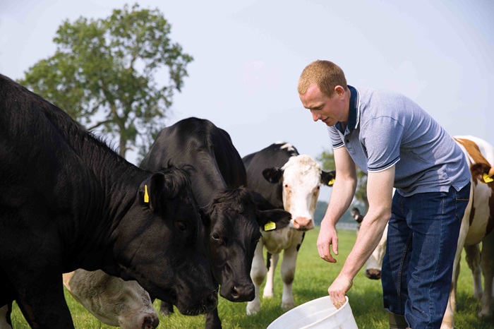 Lidl increases investment into British food by 40% to £21 billion