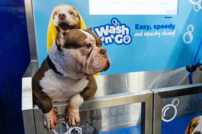 Jollyes launches free self-service dog wash stations in UK stores